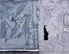 Codice grigio-1994