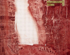 Codice rosso inglese-1996