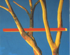 Restituzione (installazione)-1974