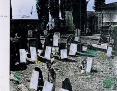 Visitazione-1985 (installazione ambientale)