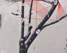 Il violino è di albero e di corde (Installazione ambientale)-1972