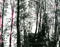 Sentiero di Pollicino (Intervento ambientale)-1972