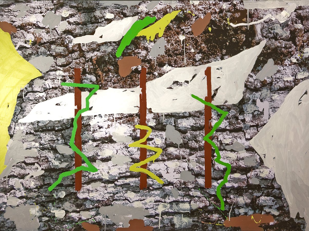 germinazione-n12-2006