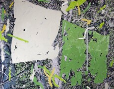 Germinazione n.11  (2006)