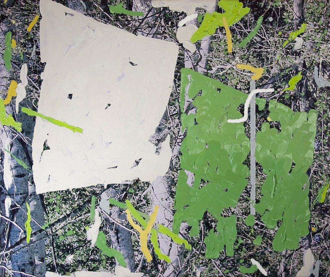 germinazionen11